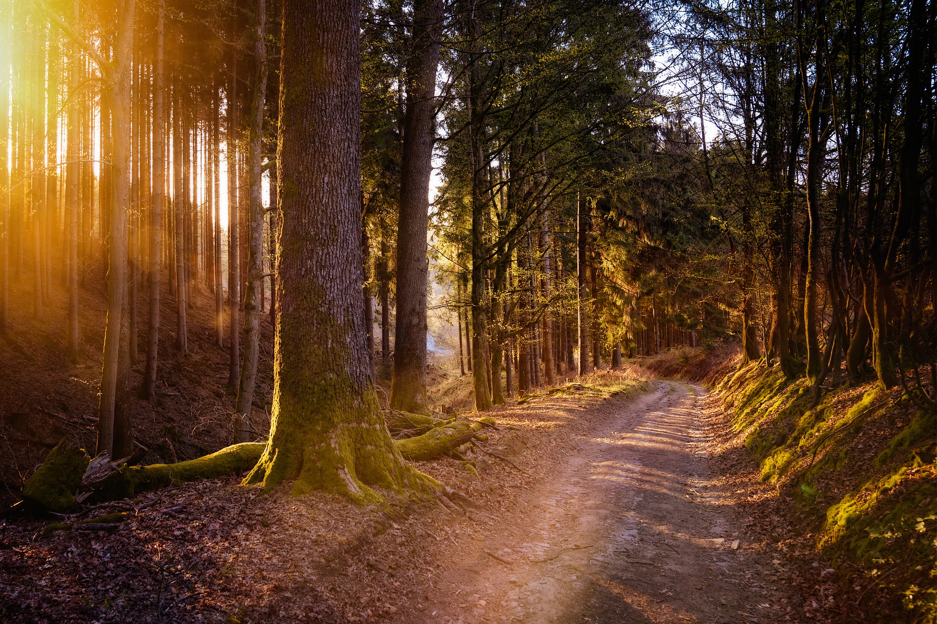 Enjoy hiking and more on your list of summer activities in Big Bear