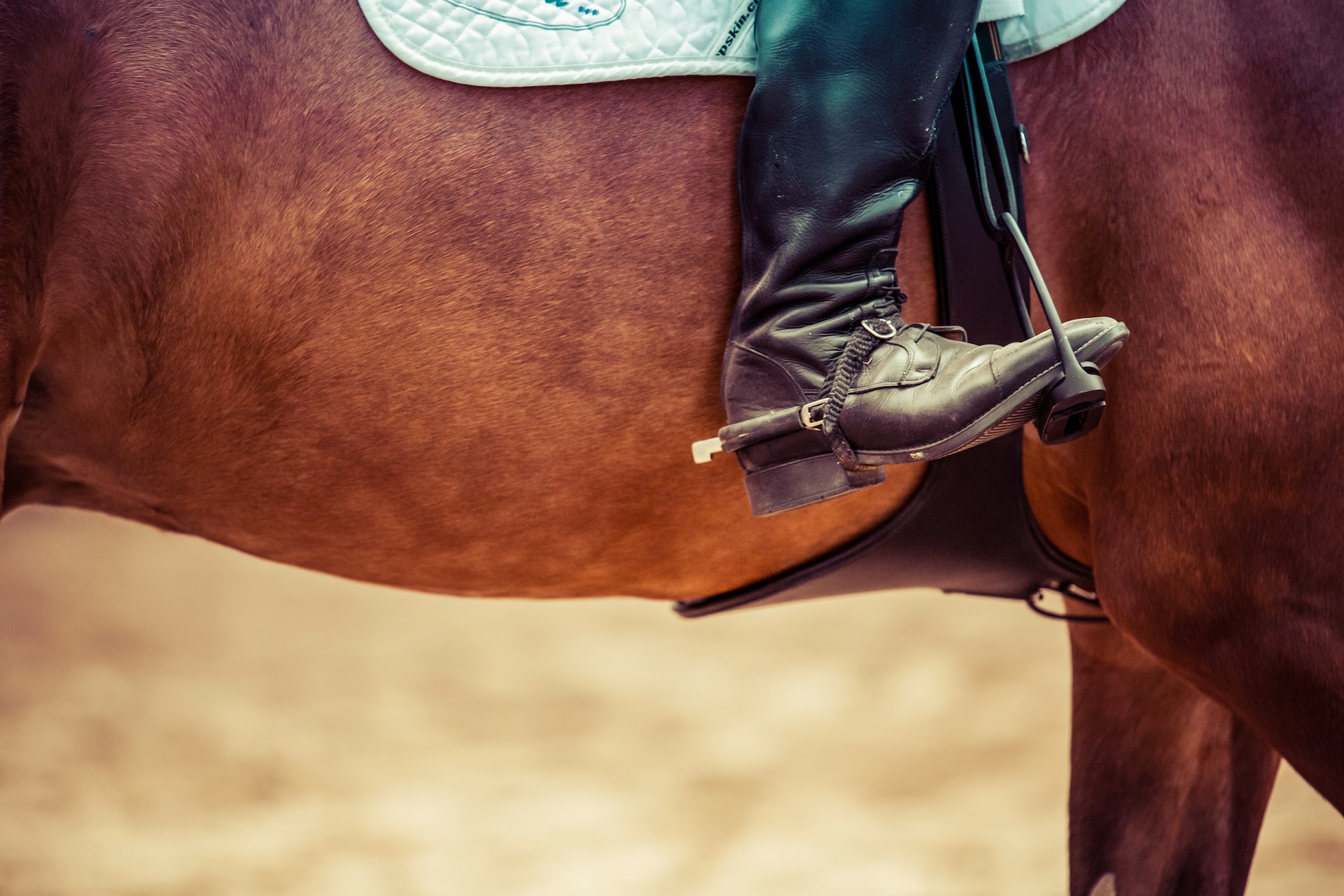 Horseback Riding Big Bear